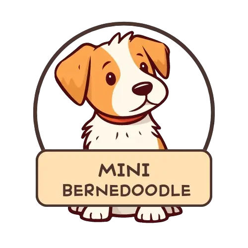 Mini Bernedoodle Logo